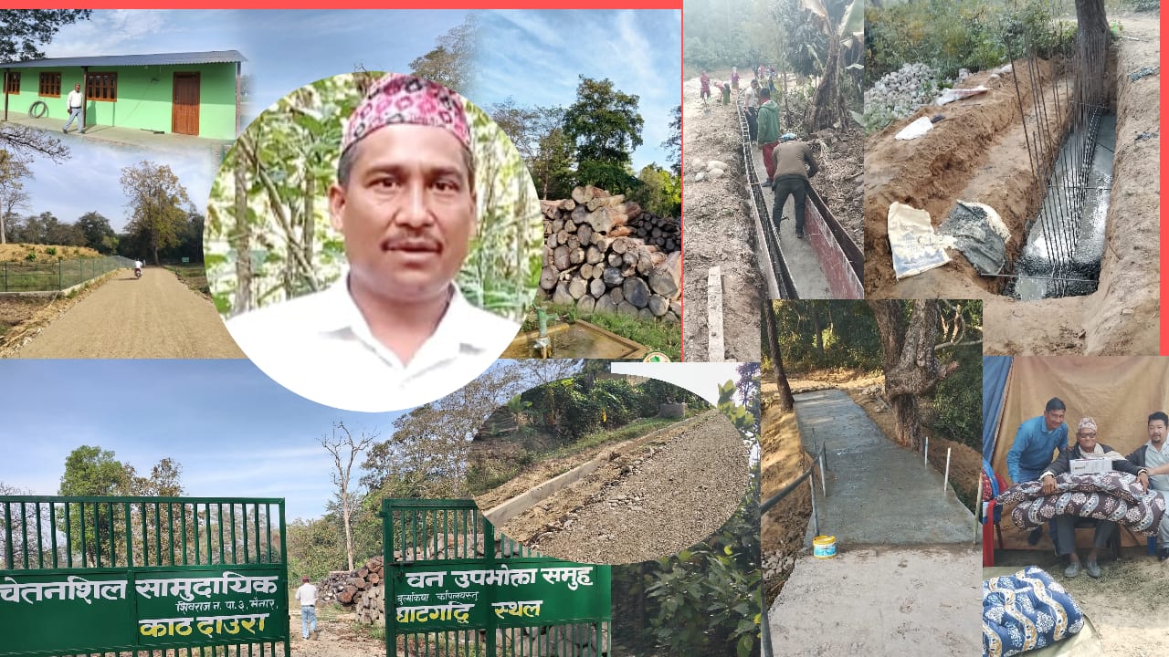 विकट बस्तीमा विकासको भरोसा बनेको चेतनशील  सामुदायिक वन