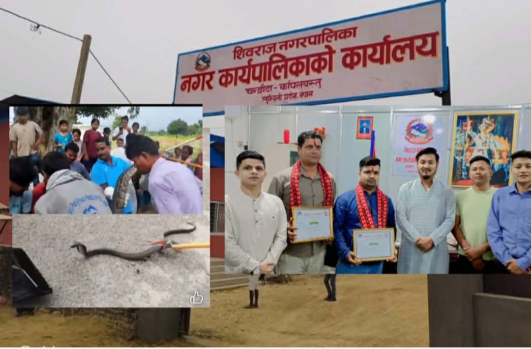 उपचारदेखि उद्धारसम्म शिवराज सक्रिय  सर्पदंश नियन्त्रणमा नयाँ अभ्यास ।।